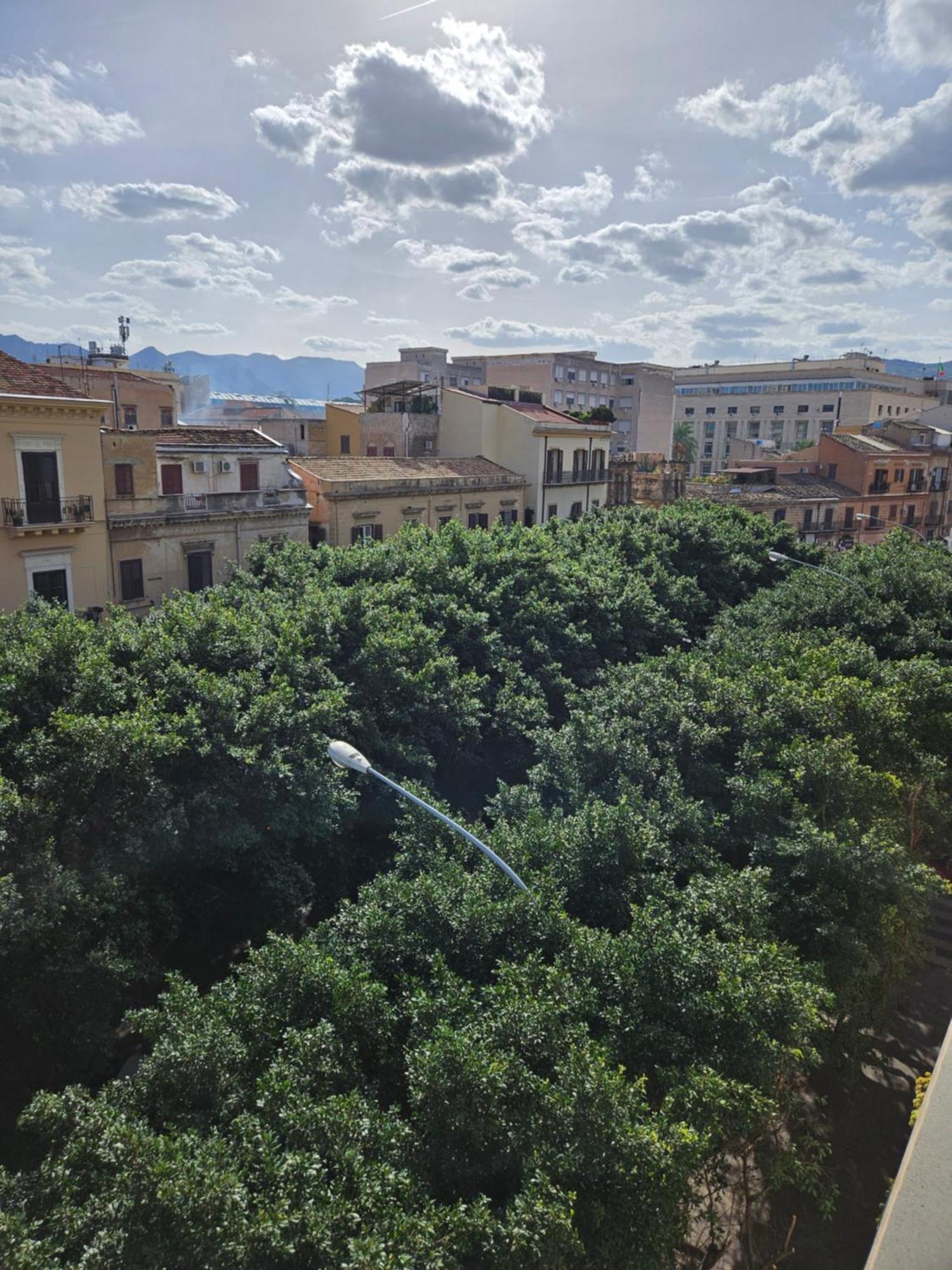 דירות פלרמו Terrazza Massimo מראה חיצוני תמונה